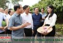 Vải thiều Bắc Giang đã tạo dựng được chuỗi giá trị mẫu mực