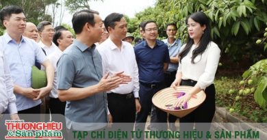 Vải thiều Bắc Giang đã tạo dựng được chuỗi giá trị mẫu mực