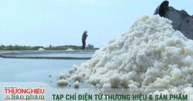 Muối Thụy Hải – Từ nghề truyền thống trở thành di sản văn hóa quốc gia