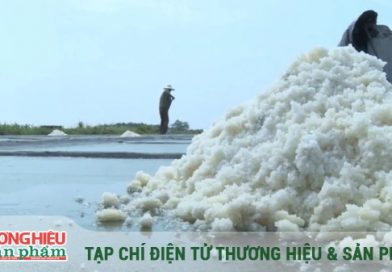 Muối Thụy Hải – Từ nghề truyền thống trở thành di sản văn hóa quốc gia