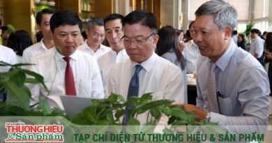 Sâm Ngọc Linh – Mũi nhọn chiến lược đưa Quảng Nam thành trung tâm dược liệu quốc gia