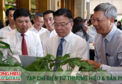 Sâm Ngọc Linh – Mũi nhọn chiến lược đưa Quảng Nam thành trung tâm dược liệu quốc gia