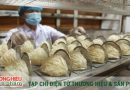 Cơ hội và thách thức từ thị trường Trung Quốc