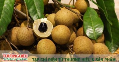 Cơ hội vàng để khẳng định thương hiệu nhãn lồng Hưng Yên trên thị trường quốc tế