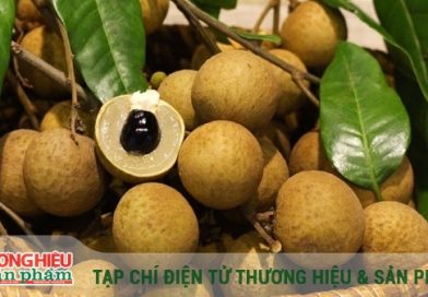 Cơ hội vàng để khẳng định thương hiệu nhãn lồng Hưng Yên trên thị trường quốc tế