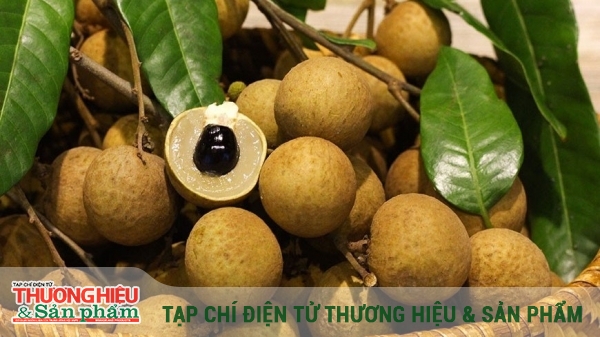 Cơ hội vàng để khẳng định thương hiệu nhãn lồng Hưng Yên trên thị trường quốc tế