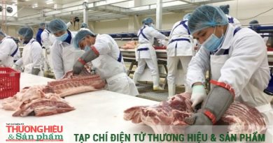 Bài toán cạnh tranh và định vị thương hiệu nội địa