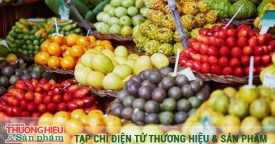 Xây dựng thương hiệu cho trái cây mùa vụ