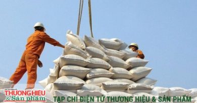 Củng cố thương hiệu gạo Việt Nam xuất khẩu