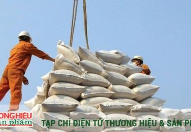 Củng cố thương hiệu gạo Việt Nam xuất khẩu