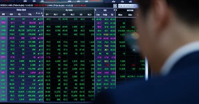 Chuyên gia kỳ vọng VN-Index chạm 1.800 điểm cuối năm nay