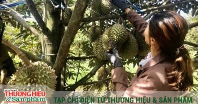 Giải bài toán chất lượng để sầu riêng Việt vươn xa