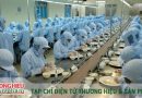 Liên kết TP HCM – Khánh Hòa nâng tầm ngành yến sào Việt Nam
