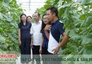 Từ đồng ruộng lên sàn thương mại điện tử