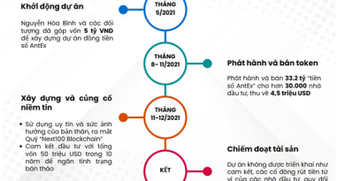 Sơ đồ hóa quá trình Shark Bình và đồng phạm chiếm đoạt tiền của 30.000 nhà đầu tư