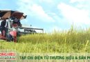 Giá trị tăng, xuất khẩu thăng hoa