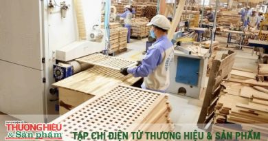 Doanh nghiệp gỗ kiến nghị tháo gỡ vướng mắc hoàn thuế GTGT