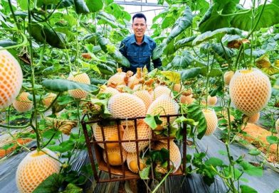 Vốn, tri thức và công nghệ – “chìa khóa” giúp sinh kế hộ nghèo bền vững