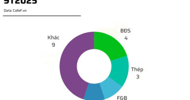 Novaland đầu bảng, ngành bất động sản áp đảo, 14 doanh nghiệp lỗ trăm tỷ