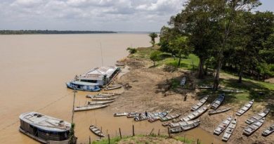 Không phải vàng hay dầu, nền kinh tế trên 200 triệu dân săn lùng ‘kho báu’ trải dài 400 km sâu dưới rừng nhằm dắt lưng ‘vũ khí’ giữa thương chiến, Trung Quốc ngỏ ý tham gia