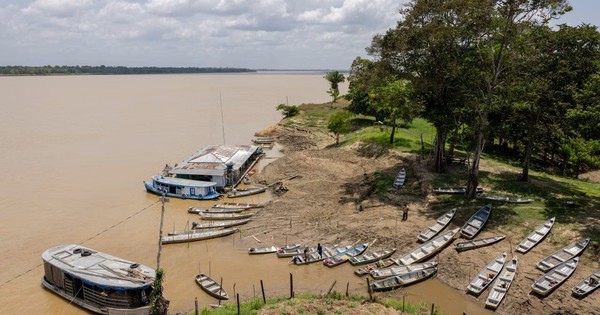 Không phải vàng hay dầu, nền kinh tế trên 200 triệu dân săn lùng ‘kho báu’ trải dài 400 km sâu dưới rừng nhằm dắt lưng ‘vũ khí’ giữa thương chiến, Trung Quốc ngỏ ý tham gia