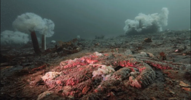 Đáp án khiến giới khoa học sững sờ