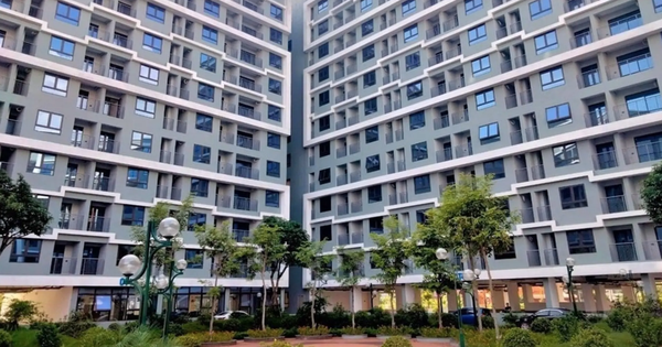 Siết chặt vi phạm nhà ở xã hội, đề xuất phạt đến 300 triệu đồng