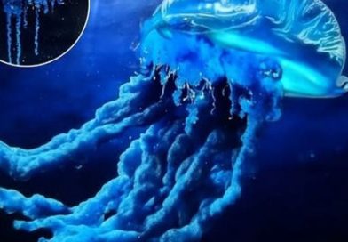 Phát hiện mới ở Nhật Bản hé lộ sự dịch chuyển của biển cả trong thời kỳ khí hậu biến đổi