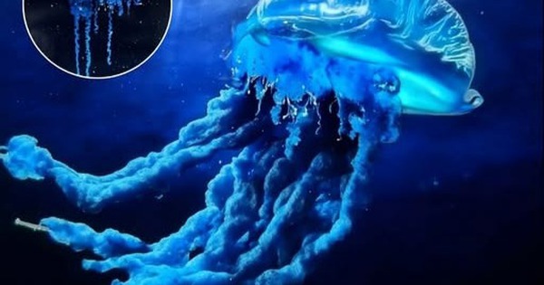 Phát hiện mới ở Nhật Bản hé lộ sự dịch chuyển của biển cả trong thời kỳ khí hậu biến đổi