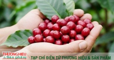Từ kỷ lục 8 tỷ USD đến “cuộc chơi” thương hiệu toàn cầu