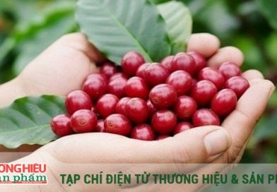 Từ kỷ lục 8 tỷ USD đến “cuộc chơi” thương hiệu toàn cầu