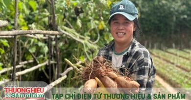 Hành trình 7 năm xây dựng thương hiệu khoai sâm Đà Lạt