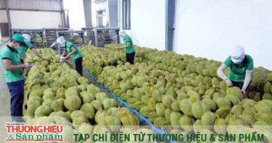 Hành động ngay để nắm bắt thành công