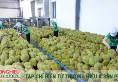 Hành động ngay để nắm bắt thành công