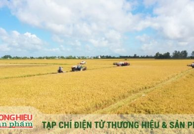 Làm sao đo chuẩn, chứng nhận đúng?