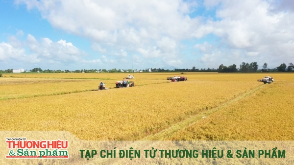Làm sao đo chuẩn, chứng nhận đúng?