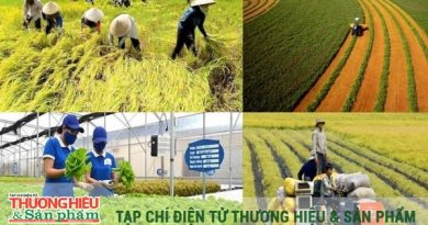 “Xây dựng nông nghiệp xanh, hữu cơ là bước đi tất yếu của nông nghiệp Việt Nam”