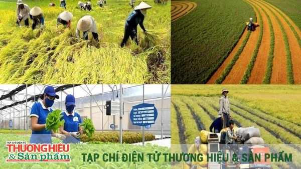 “Xây dựng nông nghiệp xanh, hữu cơ là bước đi tất yếu của nông nghiệp Việt Nam”