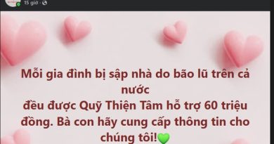 Quỹ Thiện Tâm của Vingroup kích hoạt gói hỗ trợ khẩn cấp …