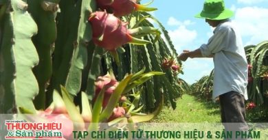 Hành trình mới của nông sản Việt