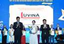 Luvina hành trình khẳng định chất lượng toàn cầu của trí tuệ Việt