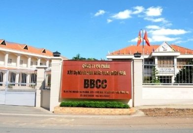 Công ty VLXD trên sàn muốn chia cổ tức tiền mặt tỷ lệ 40%