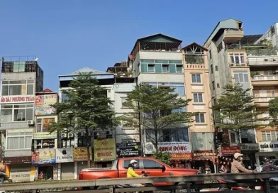 Giá vẫn tăng bất chấp nhu cầu sụt giảm