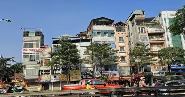 Giá vẫn tăng bất chấp nhu cầu sụt giảm