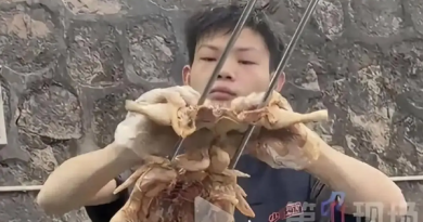 Sự thật phía sau khiến nhiều người bất ngờ