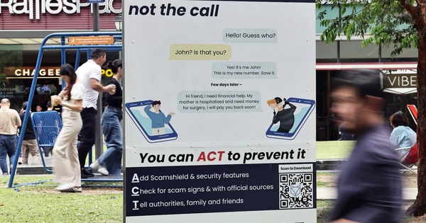 Lừa đảo gia tăng, Singapore ra đòn mạnh