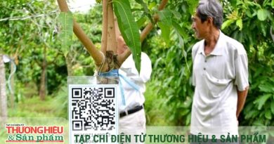 Bí quyết thành công của hợp tác xã