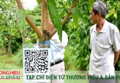 Bí quyết thành công của hợp tác xã
