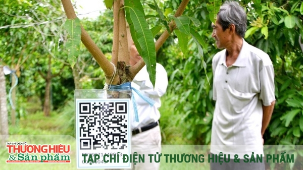 Bí quyết thành công của hợp tác xã