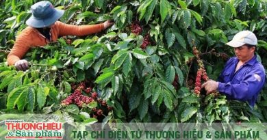 Rực rỡ những kỷ lục và khoảng lặng cần suy ngẫm